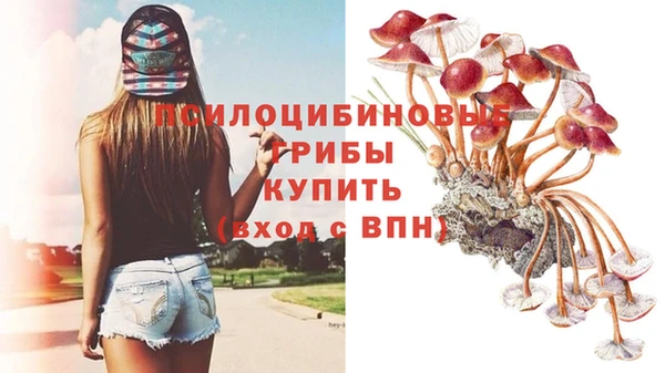 спайс Снежногорск